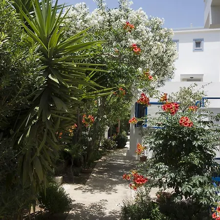 Anthea * Paleohóra